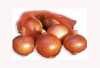 Cebolla en Polvo x 25 Kg.